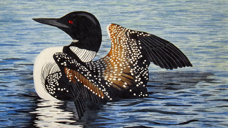 Loon In Flight Painting by Brenda Brown