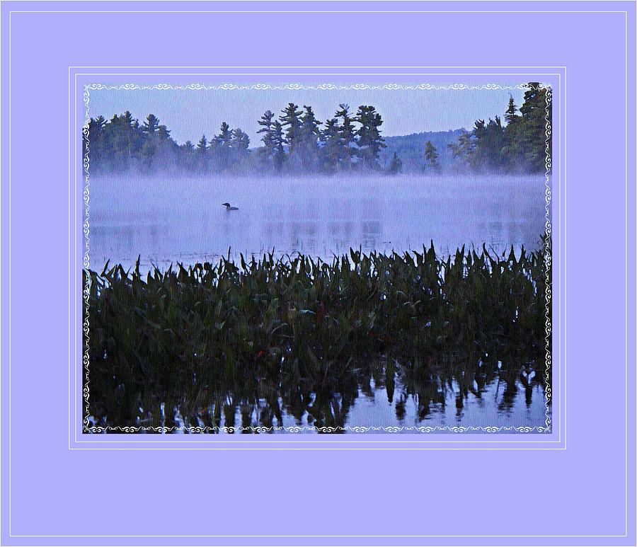 Loon On A Misty Morning At Parker Photograph by Joy Nichols
