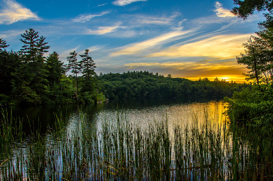 Loon Pond Photograph By Tod Stevenson Fine Art America