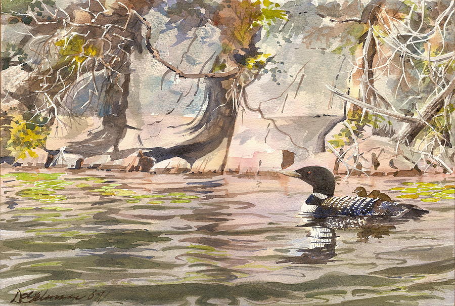 Loons at Eldreges Rock Painting by David Gilmore