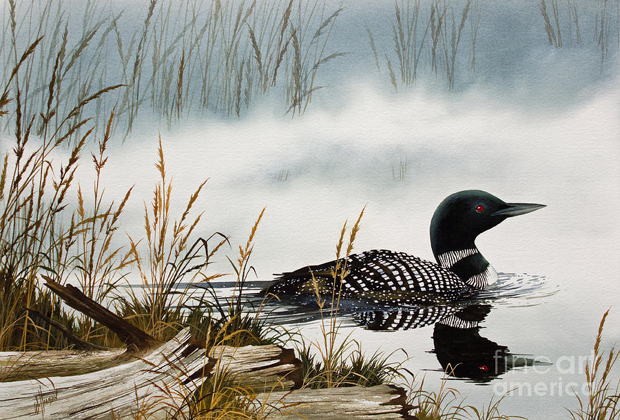 Loon Painting - Loons Misty Shore by James Williamson