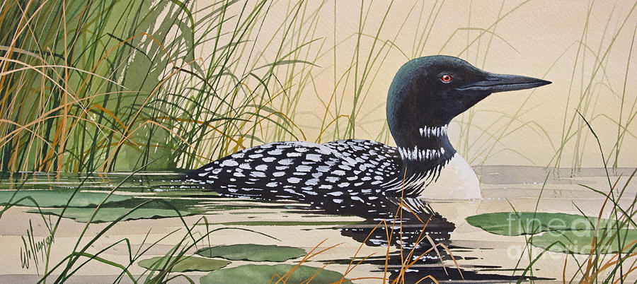 Loons Tranquil Shore Painting by James Williamson