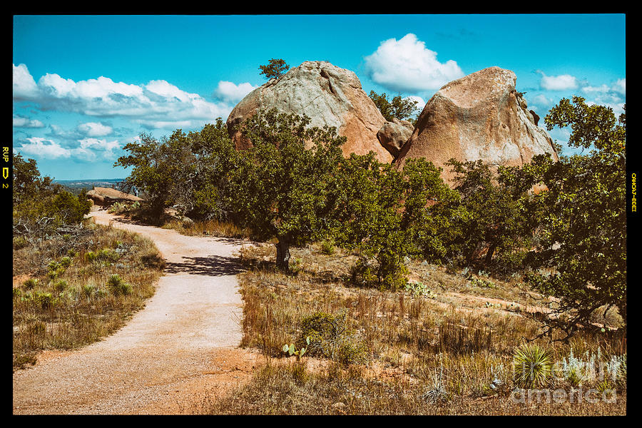 Loop Trail Scenery at Enchanted Rock State Natural Area - Texas Hill Country Photograph by Silvio Ligutti