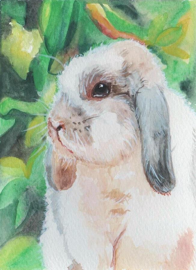 Lop Bunny Painting by Romanita Pulliam-Hollyman