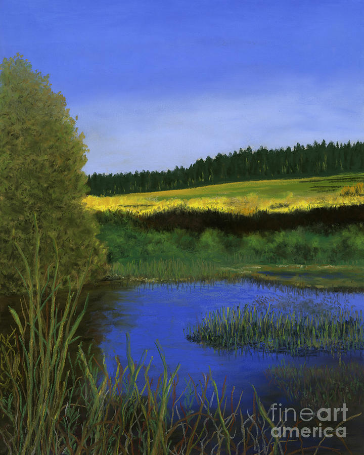 Lopez Pond Painting by Ginny Neece