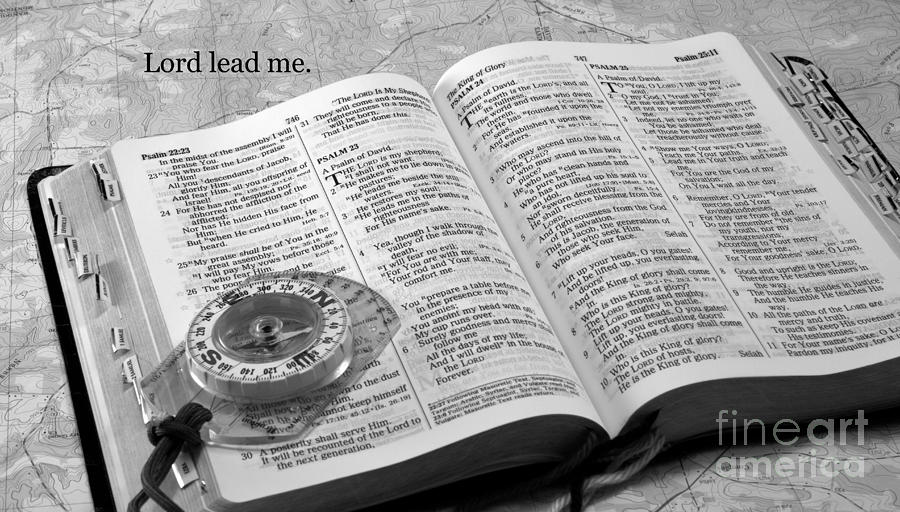 Lord Lead Me Photograph by Sandra Clark