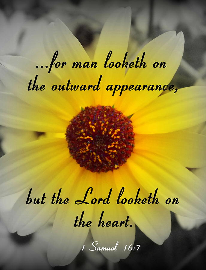 Lord Looketh on the Heart Photograph by Sheri McLeroy