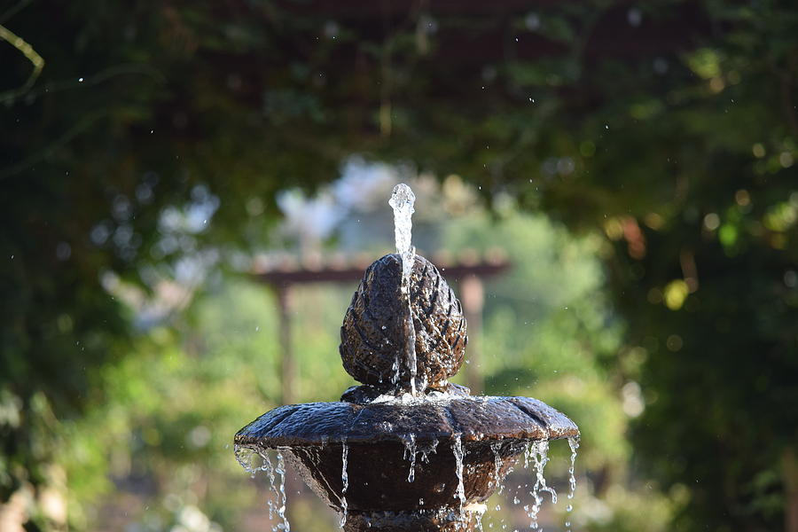 Lorimars Fountain Photograph