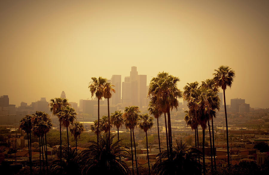 Los Angeles Photograph by Lpettet