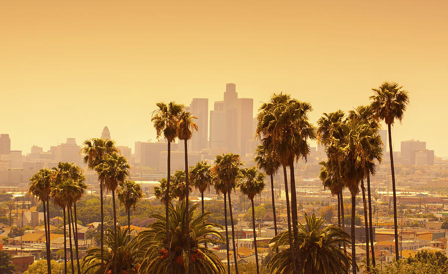 Beverly Hills Photograph - Los Angeles With Palm Trees In by Lpettet