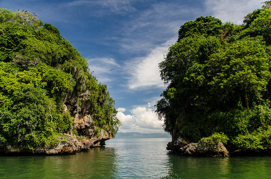 Los Haitises National Park Photograph by Andriy Zolotoiy - Pixels