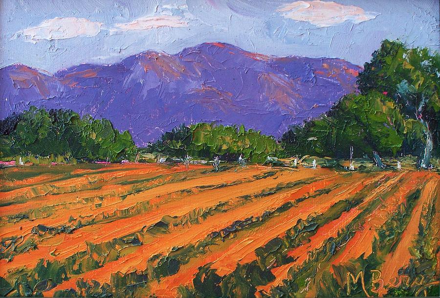 Los Poblanos Fields New Mexico Painting by Marian Berg