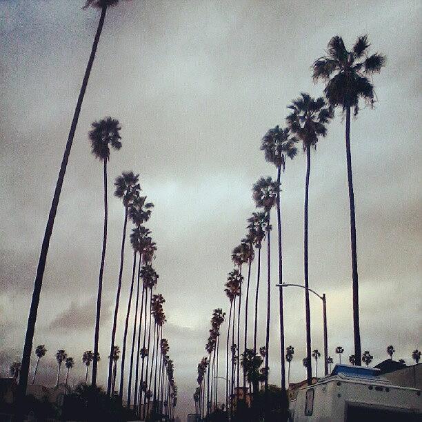 Lost Angeles Photograph by Ashley Fontenot