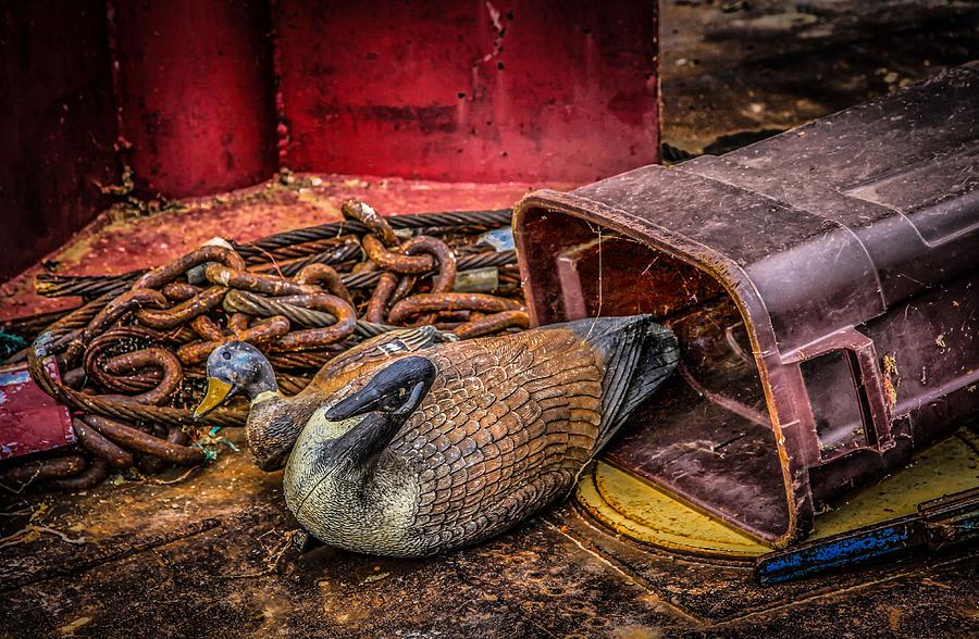 Lost Decoys Photograph by Ray Congrove