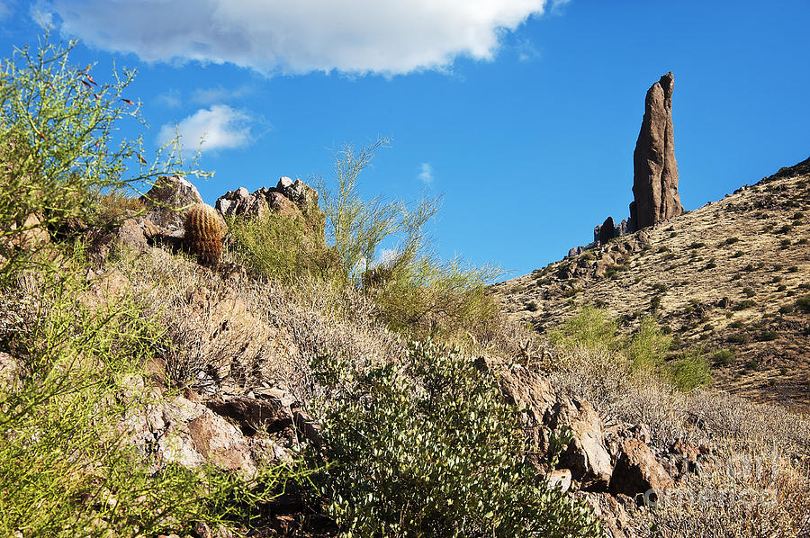Lost Dutchman Praying Hands Photograph by Lee Craig