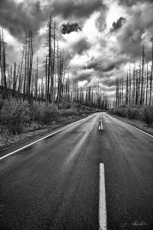 Lost Highway Photograph by Renee Sullivan