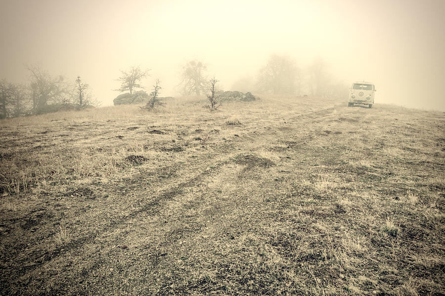 Lost in Fog Photograph by Michele Cornelius