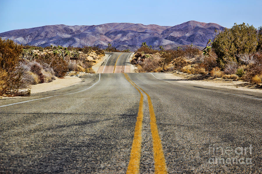 Joshua Tree National Park Photograph - Lost in the Desert by Mariola Bitner