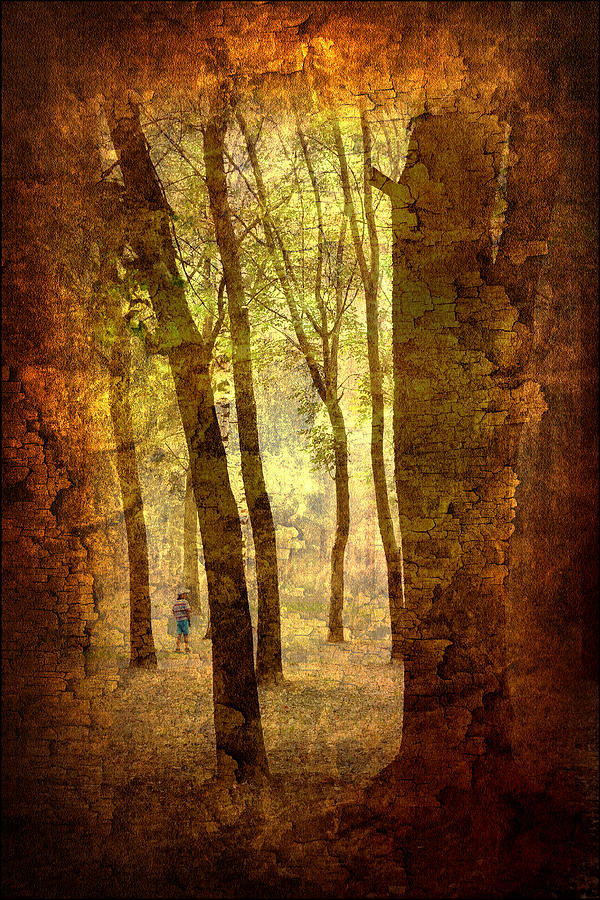 Lost in the DreamLand Woods Photograph by Jenny Rainbow