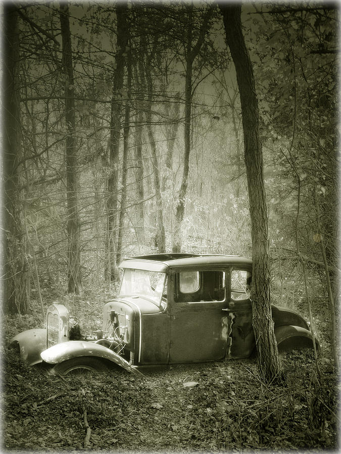 Lost in the Woods Photograph by John Anderson