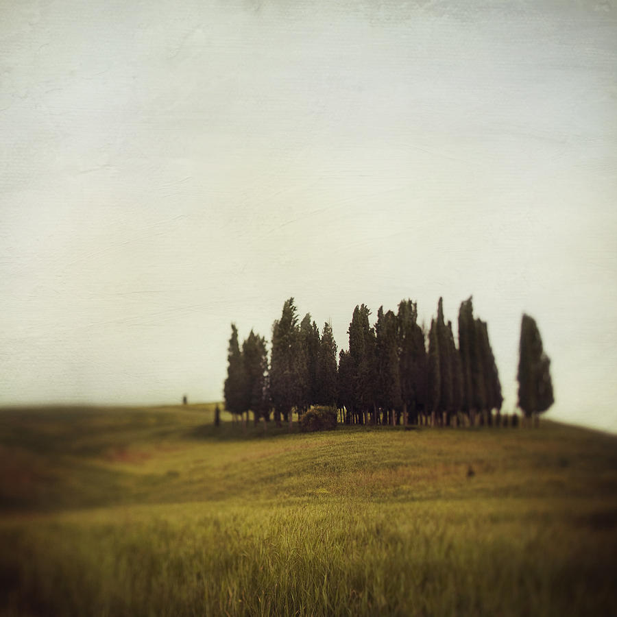 Nature Photograph - Lost in Tuscany by Irene Suchocki