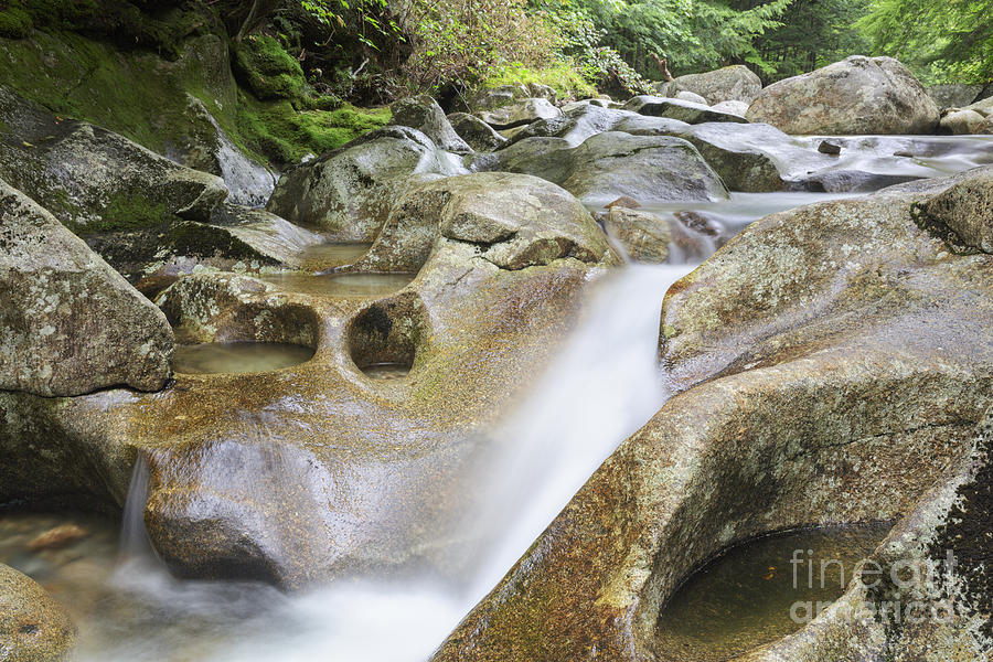 Nature Photograph - Lost River - Kinsman Notch New Hampshire USA  by Erin Paul Donovan