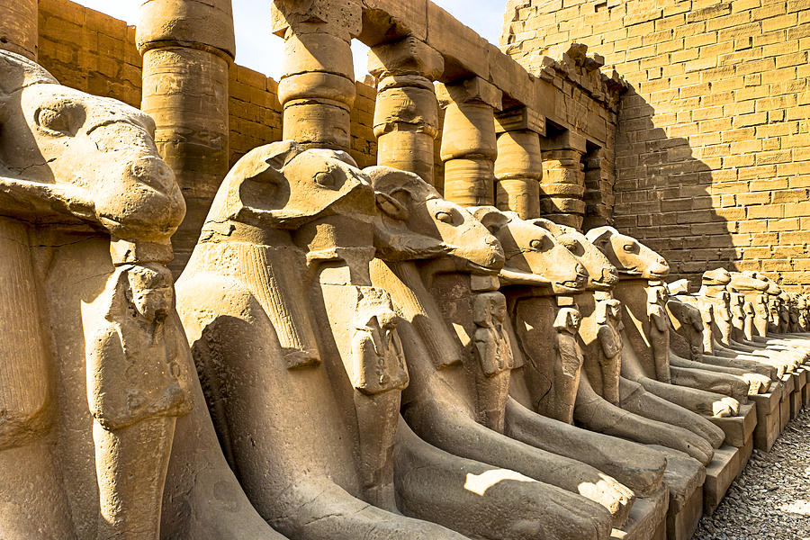 Lost Sphinxes of Thebes - Karnak Temple Photograph by Mark Tisdale