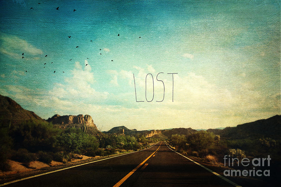 Lost Photograph by Sylvia Cook