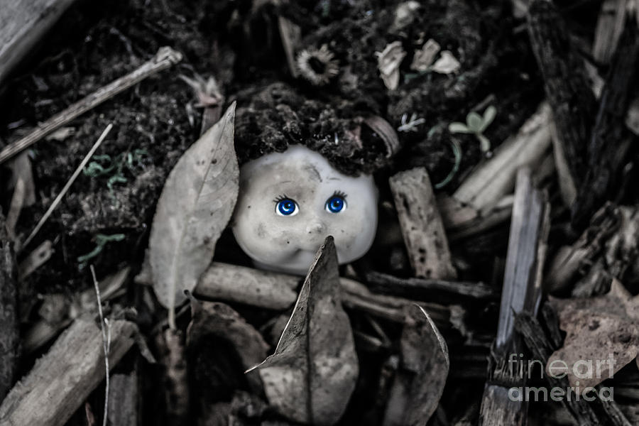 Lost Toys Photograph by Mitch Shindelbower