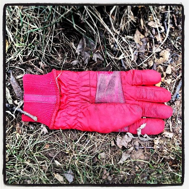Etsy Photograph - #lostglove I Must Resurrect The Glove by Claire Cohen