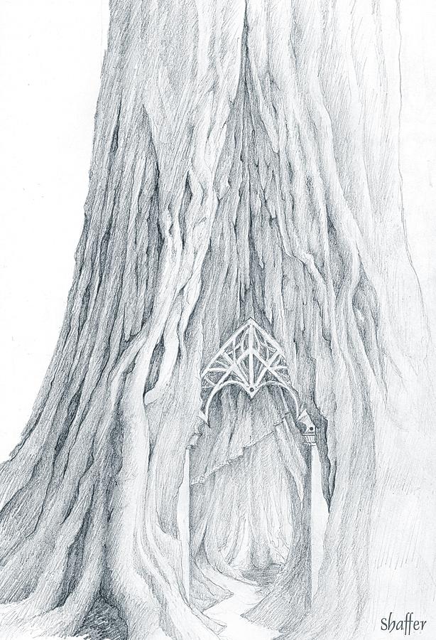 Lothlorien Mallorn Tree Drawing by Curtiss Shaffer