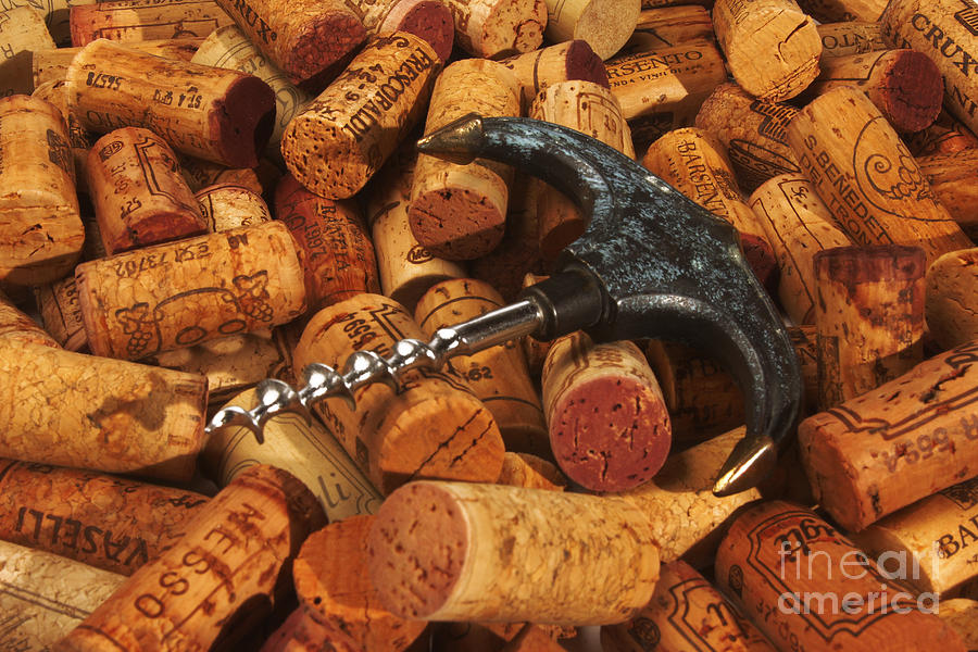 Lots of corks and a cork screw Photograph by Stefano Senise