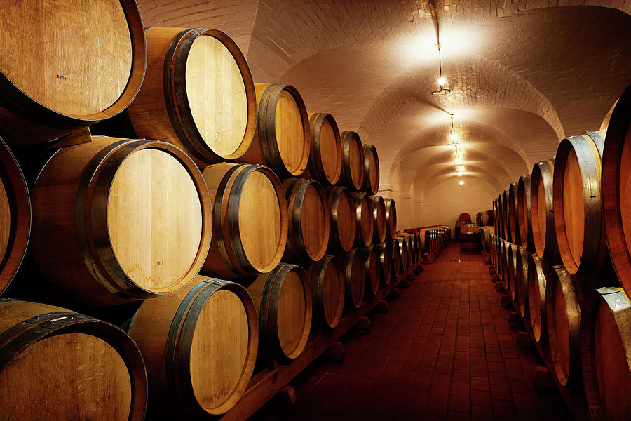 Lots Of Future Wine Oak Barrels Photograph by Rapideye Lots Of Future Wine Oak Barrels Photograph by Rapideye