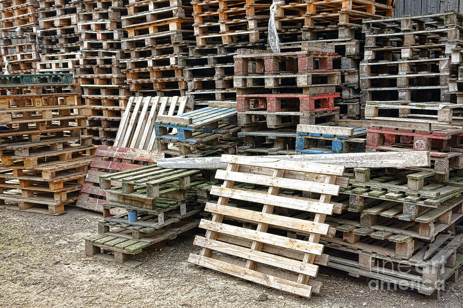 Transportation Photograph - Lots of Pallets by Olivier Le Queinec