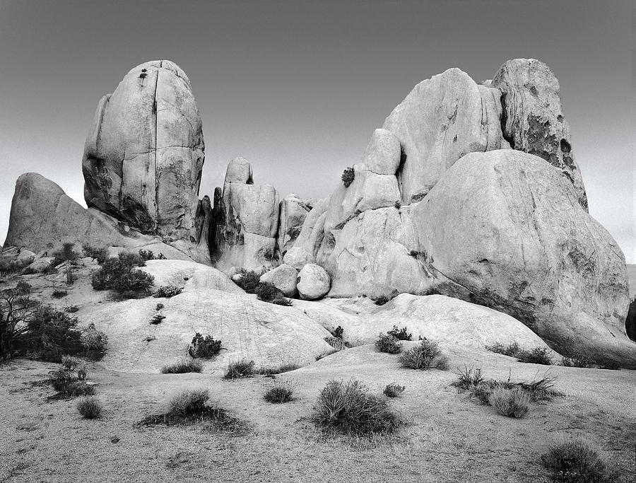 Lots Of Rocks Photograph by Paul Breitkreuz