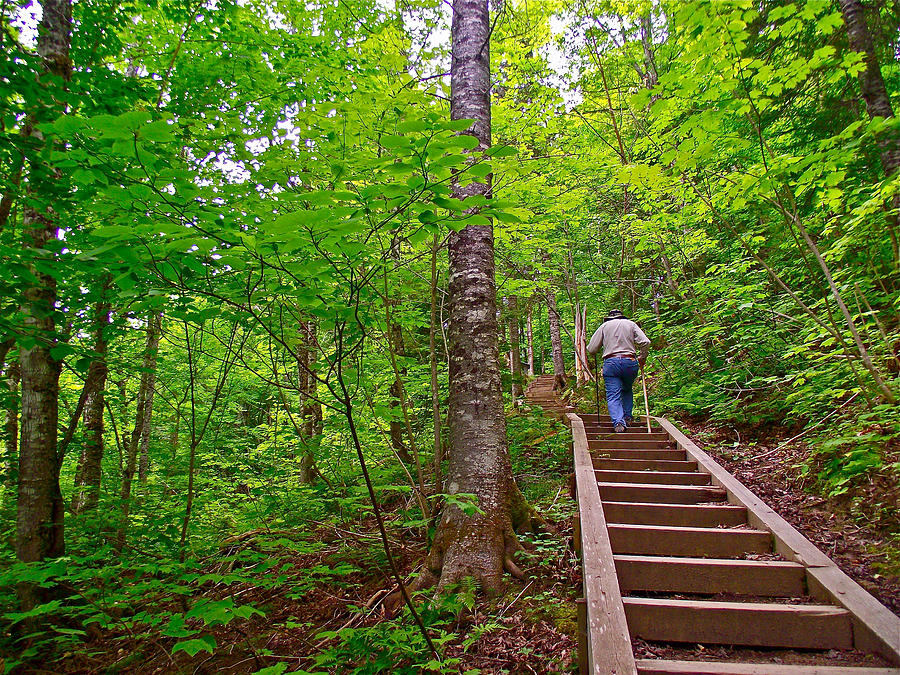 Lots of Steps on La Chute Trail in ForillonNational Park, Quebec, Canada Photograph by Ruth Hager