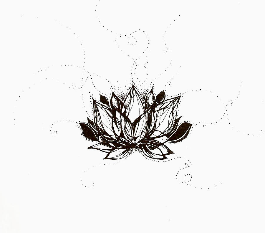 Flowers Still Life Drawing - Lotus by Andrea Carroll