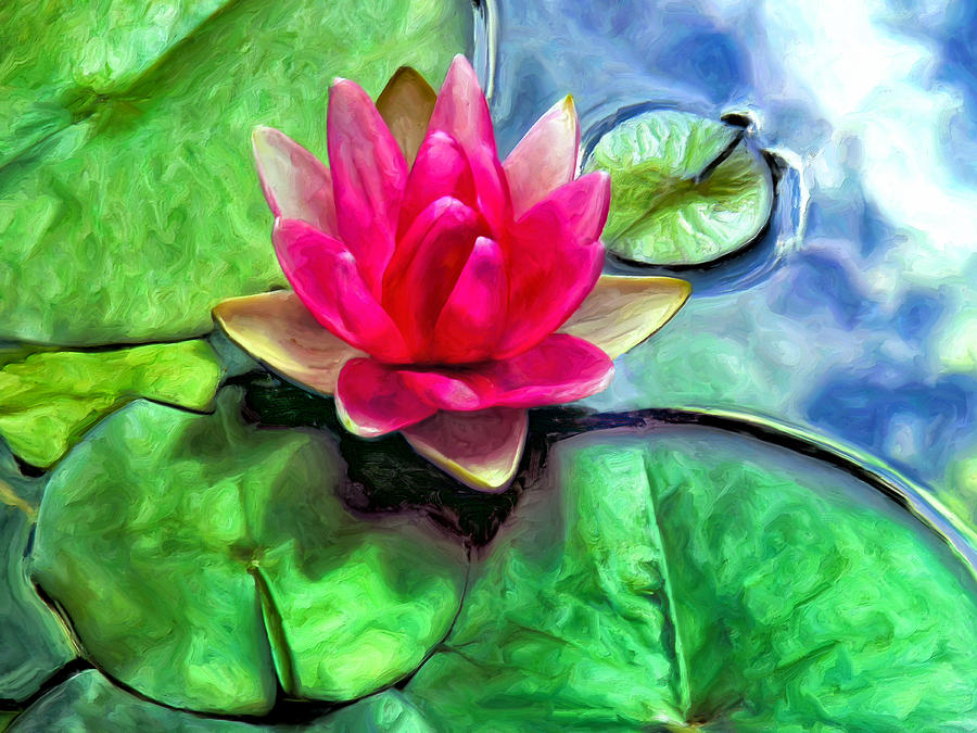 Lotus Blossom and Cloud Reflection Painting by Dominic Piperata