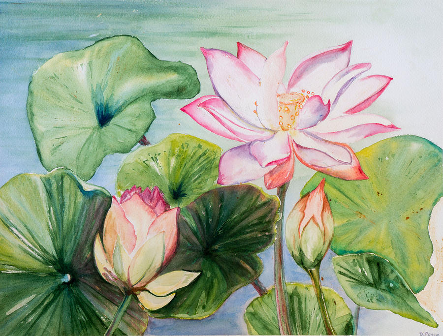 Lotus Blossom Painting by Deborah Pence - Fine Art America