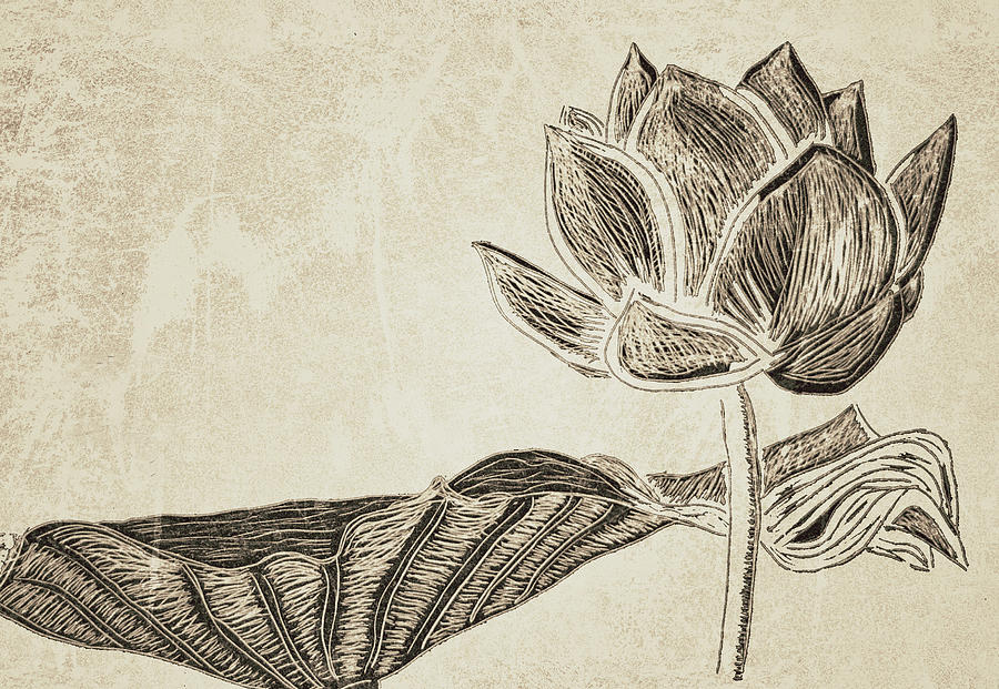 Lotus Flower and Leaf Drawing by Patricia Januszkiewicz