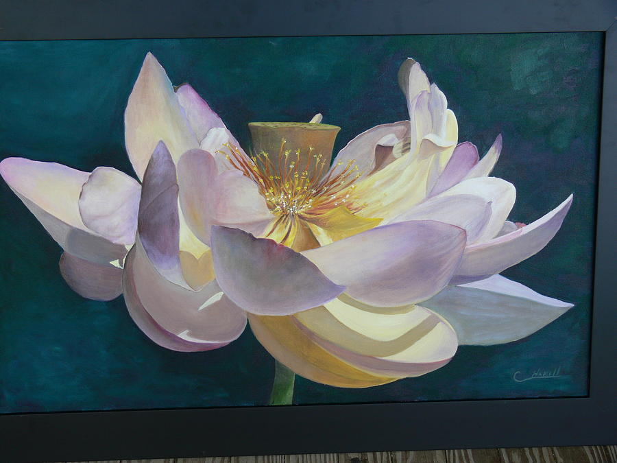 Lotus Flower Painting by Catherine Hamill