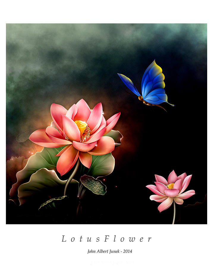 Lotus Flower and ButterFly Digital Art by John Junek