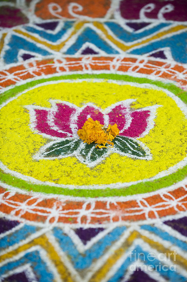 Pattern Photograph - Lotus flower Rangoli by Tim Gainey