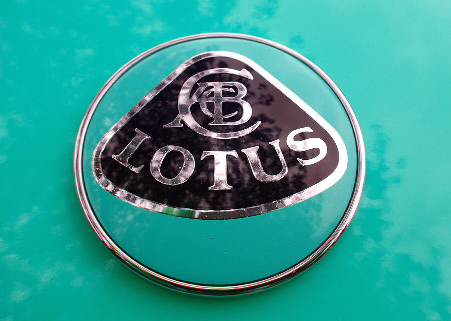 Lotus Logo 2 Photograph by Laurie Tsemak