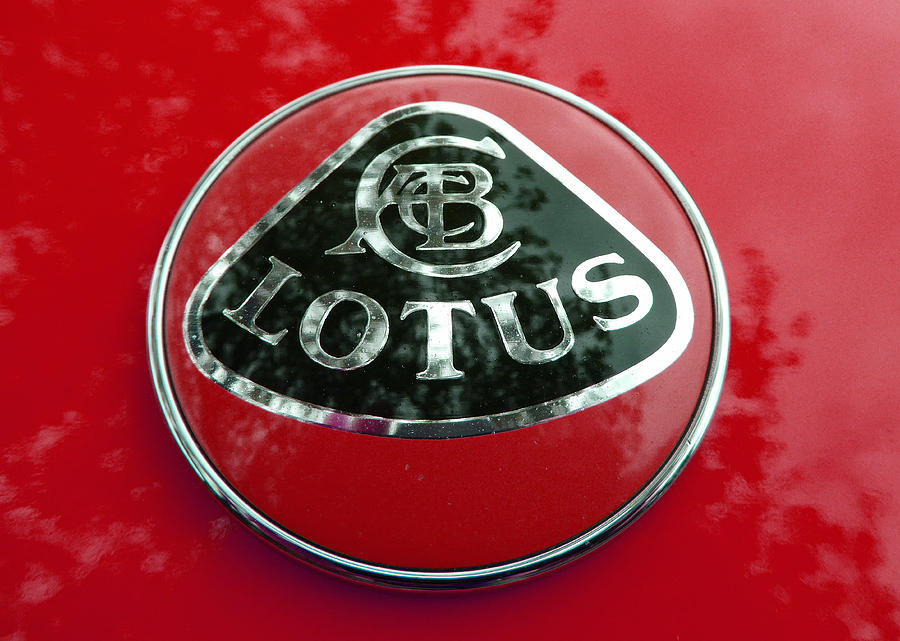 Lotus Logo 3 Photograph by Laurie Tsemak