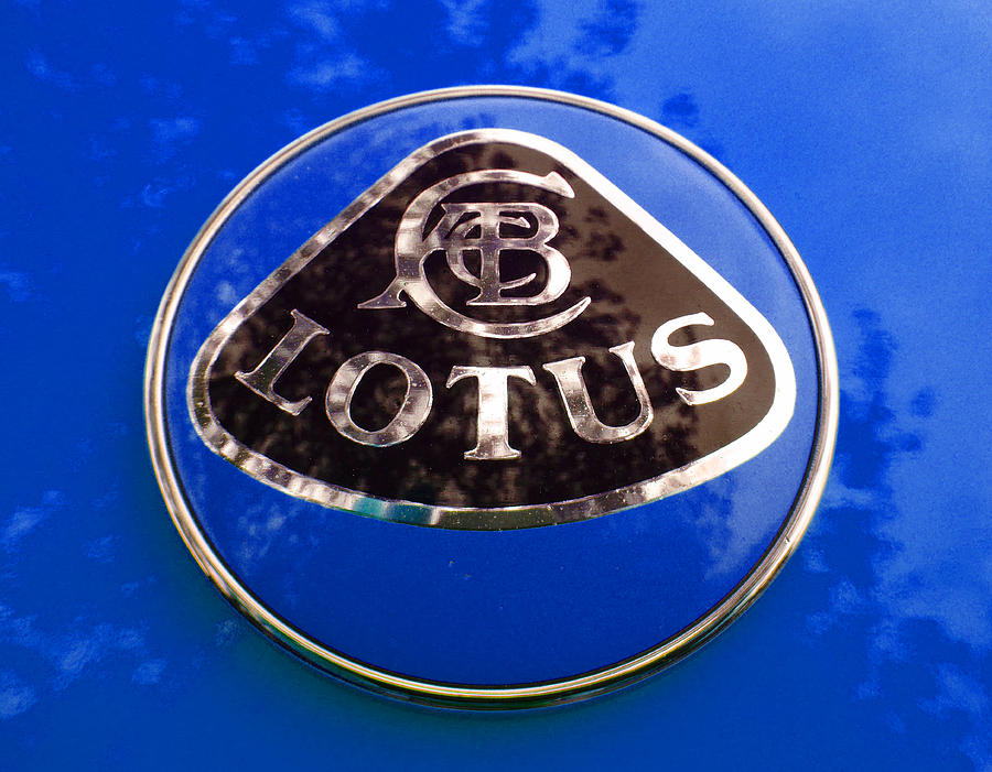 Lotus Logo in Spring 2 Photograph by Laurie Tsemak