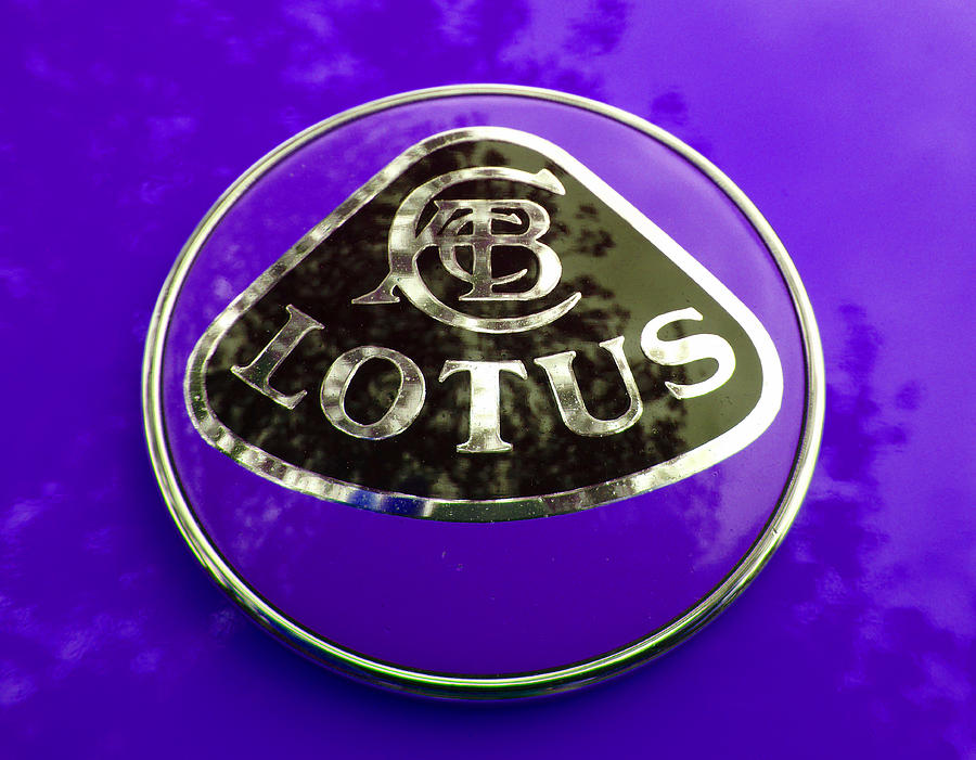 Lotus Logo in Spring 3 Photograph by Laurie Tsemak
