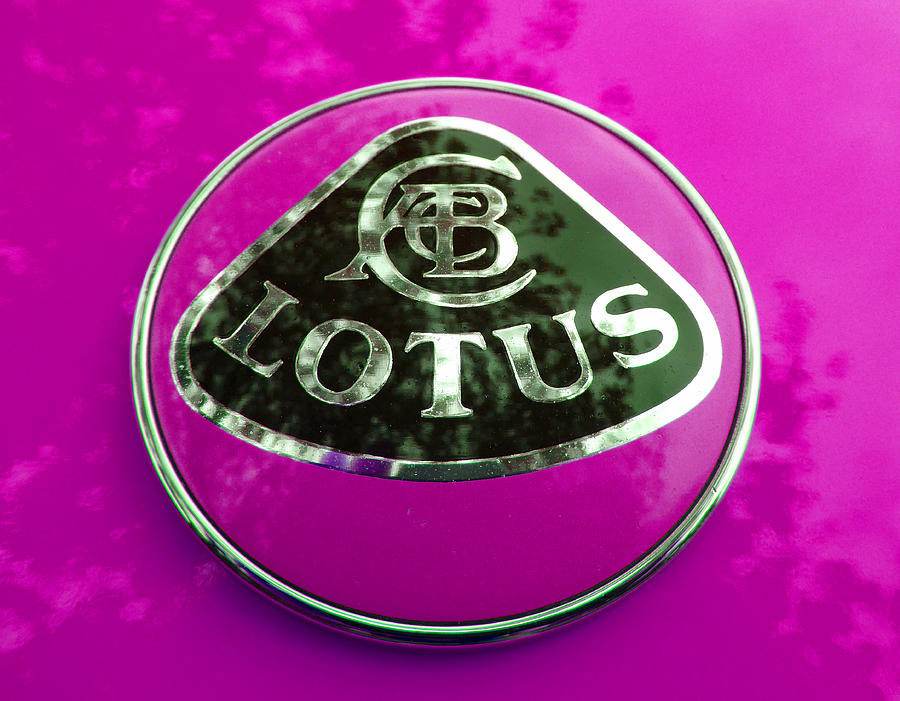 Lotus Logo in Spring 4 Photograph by Laurie Tsemak