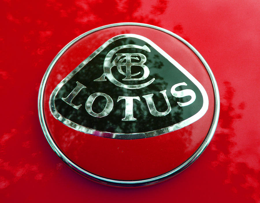 Lotus Logo in Spring 5 Photograph by Laurie Tsemak