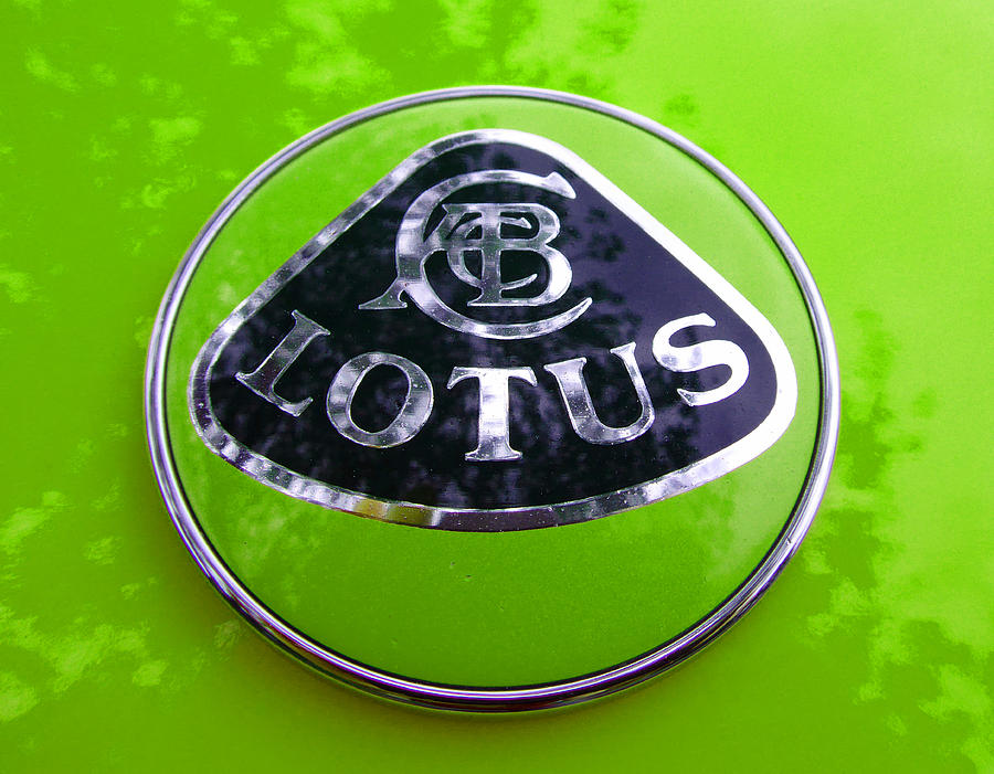 Lotus Logo in Spring 6 Photograph by Laurie Tsemak